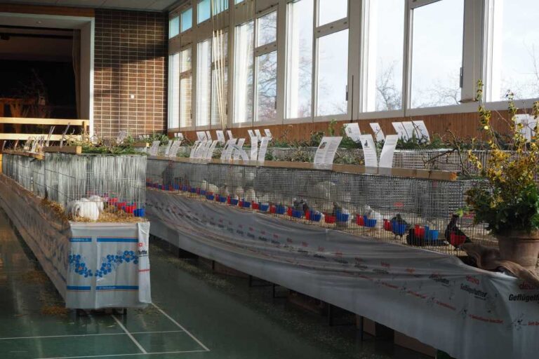 kzv bissingen teck ausstellung 2