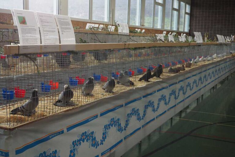 kzv bissingen teck ausstellung 3