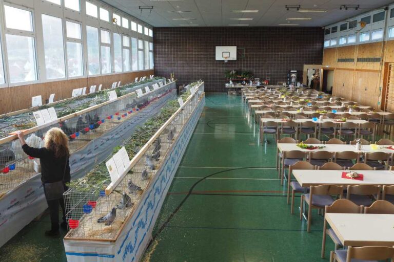 kzv bissingen teck ausstellung