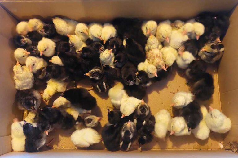 kzv bissingen teck galerie 139