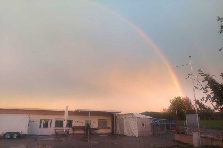 kzv bissingen teck galerie 154