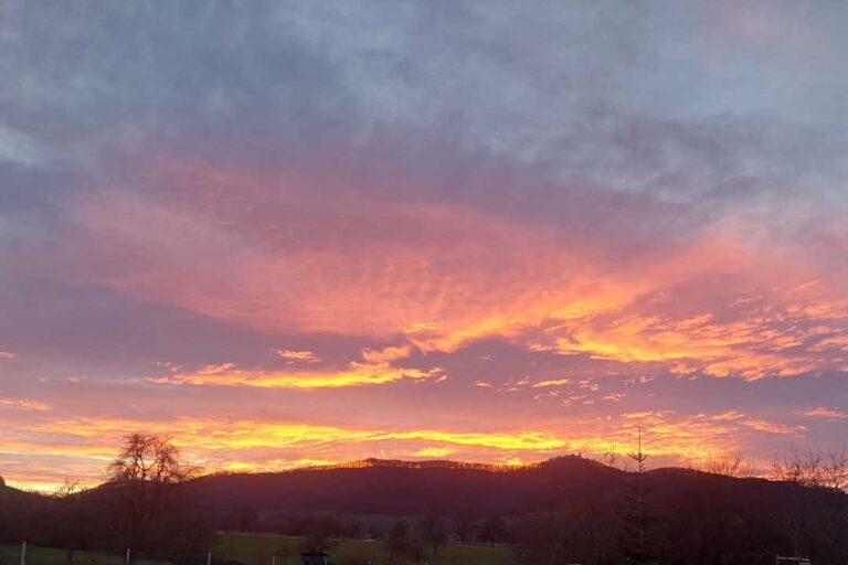 kzv bissingen teck galerie 162