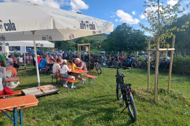 kzv bissingen teck galerie 167