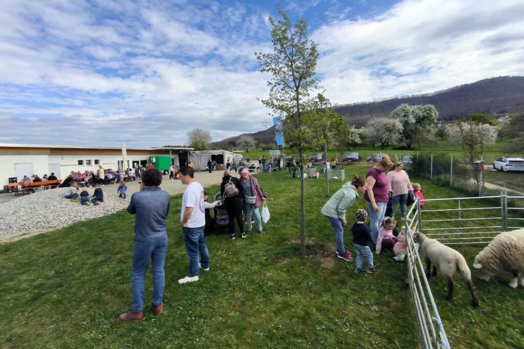 kzv bissingen teck galerie 77