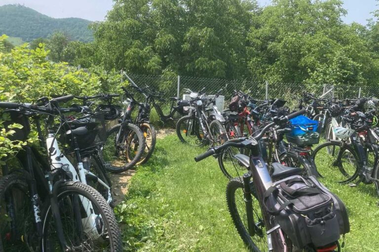 kzv bissingen teck galerie 79