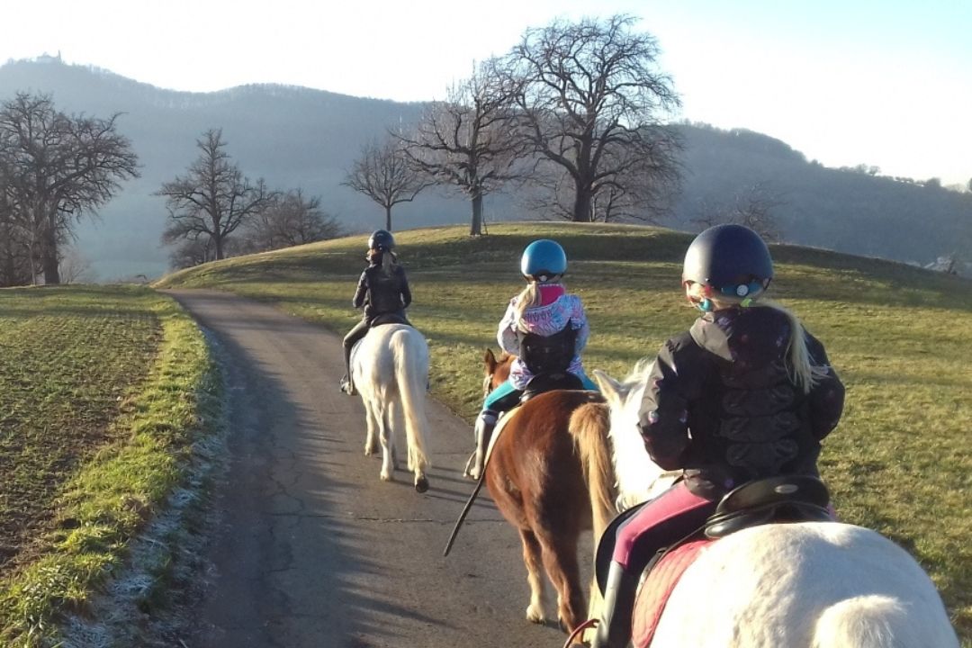 Start kzv bissingen teck e.v. kooperiert mit ponyexpress – pferdefreunde filder e.v.