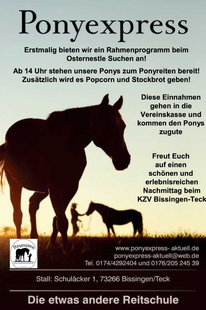 ponyreiten mit ponyexpress kzv bissingen teck