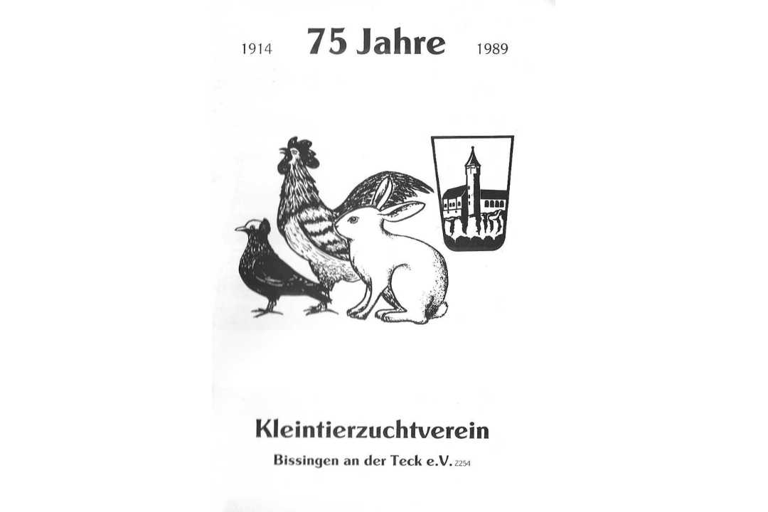 Start KZV Geschichte 1914-1920